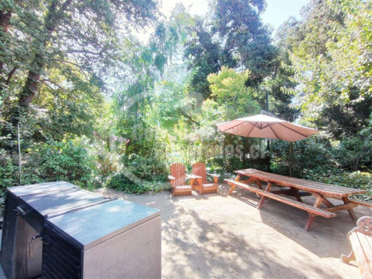 -17