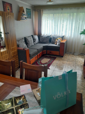 departamento-3-habitaciones,-los-copihues-321-(-7