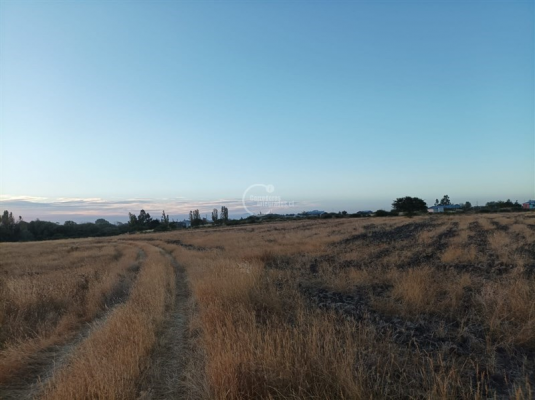 -14