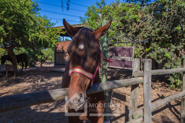 -16