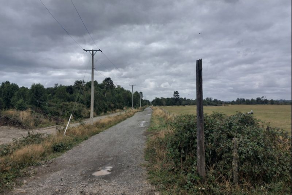 114109384-8