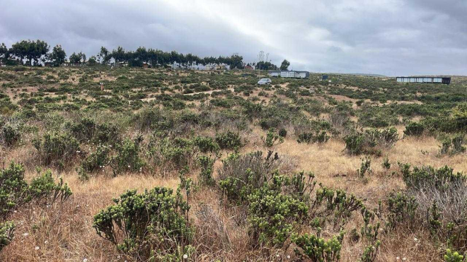 lindo-sitio-urbanizado-costa-huaquen-(69168)-9