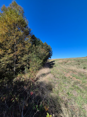 p20267266tes-5