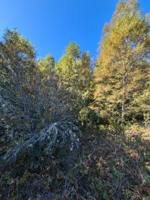 p20267266tes-6