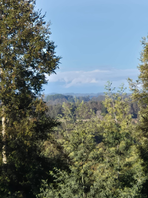p20267267kqq-8
