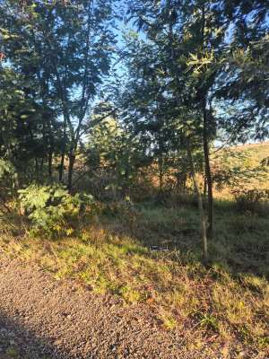 p20267267kqq-9