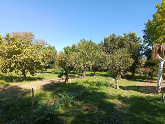 venta-casa-3hab-3ba-paine-6