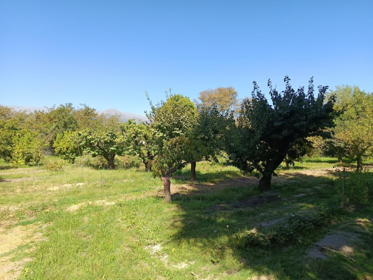 venta-casa-3hab-3ba-paine-9