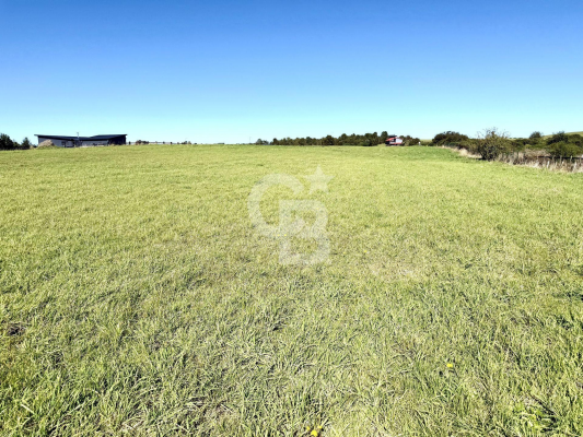 -6