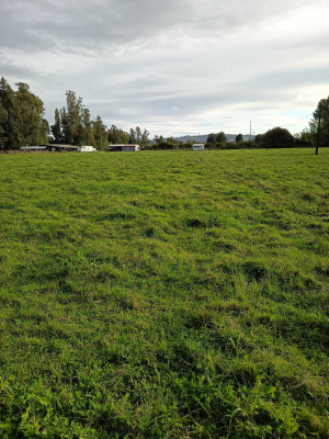 venta-parcela-plana-en-freire-(160180)-3