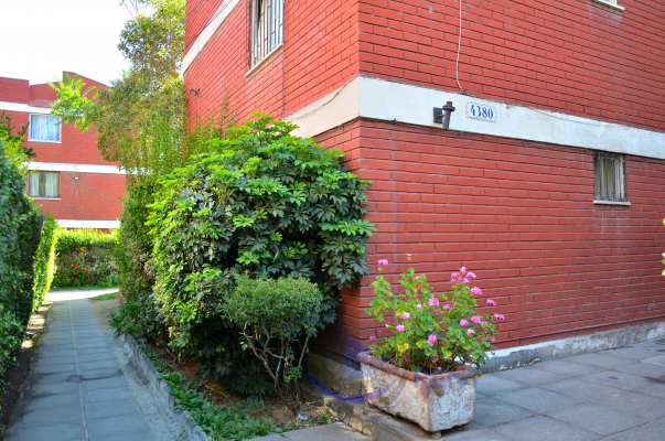 espacioso-hogar-con-diseno-contemporaneo-(165849)-3