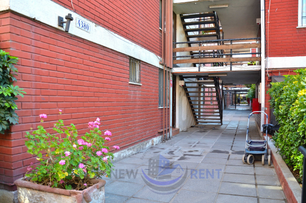 espacioso-hogar-con-diseno-contemporaneo-(165849)-4