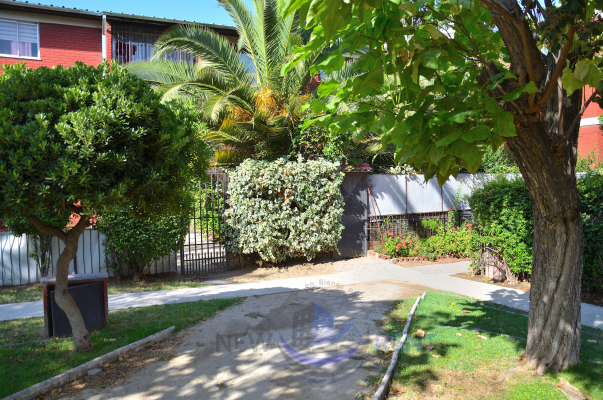espacioso-hogar-con-diseno-contemporaneo-(165849)-5