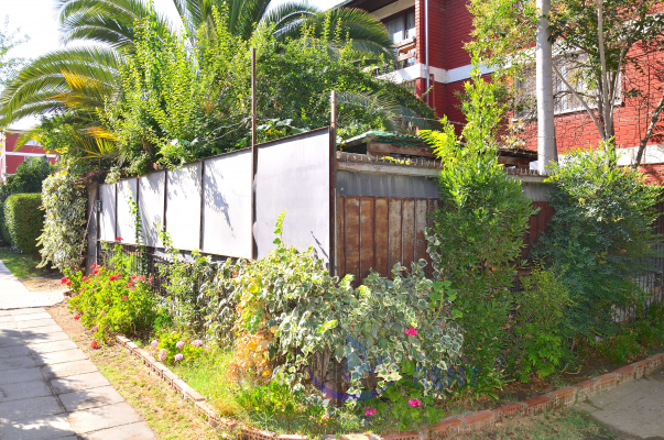 espacioso-hogar-con-diseno-contemporaneo-(165849)-8