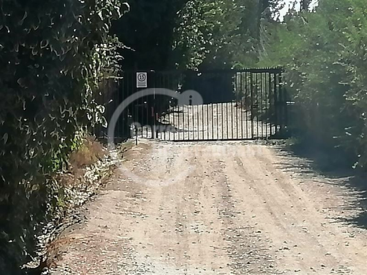 -3