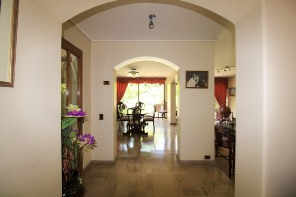 oportunidad-unica-sector-carlos-casanueva-(70-4