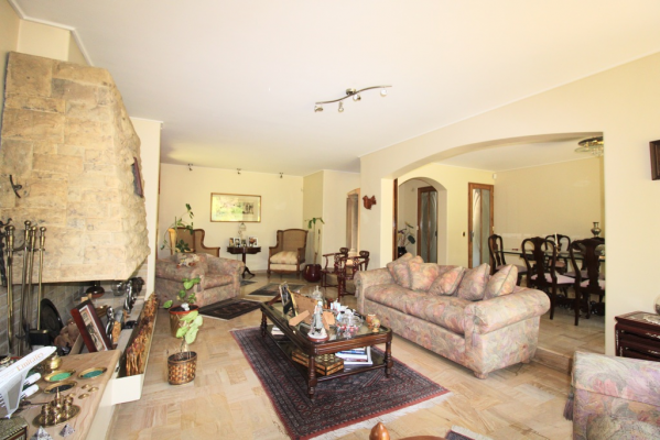 oportunidad-unica-sector-carlos-casanueva-(70-7
