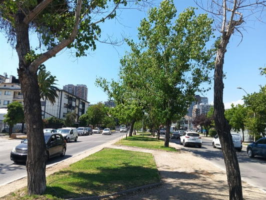 -13