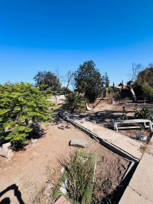 -24