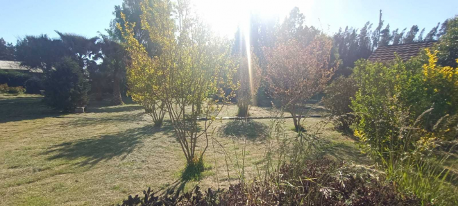 -11
