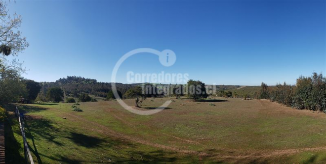 101070825-5