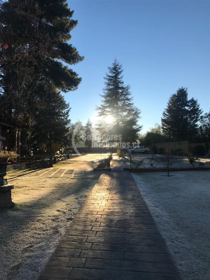 -14