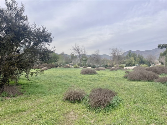 104079341-4