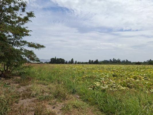 -14