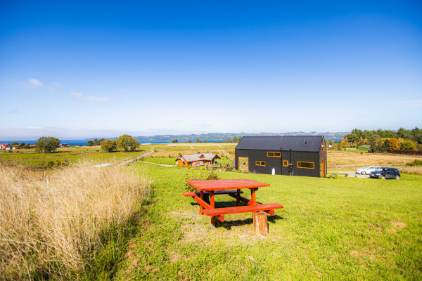 esplendido-terreno-en-frutillar-bajo-(161116)-6