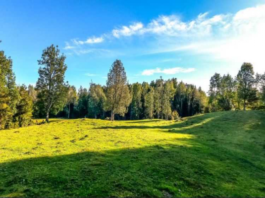 queilen,-2,8-ha,-apeche-bajo-(121069)-7