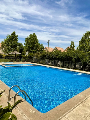 -20