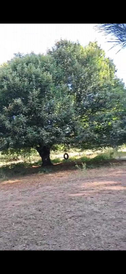 -16