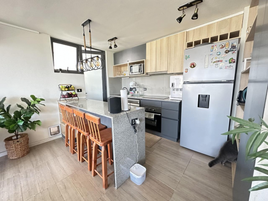 depto-3d-moderno,-vistas-cordillera-y-rooftop-4
