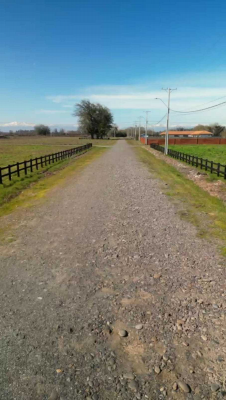 se-venden-parcelas-loteo-alto-los-robles-(161621)-4