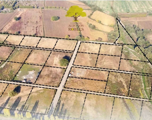 se-venden-parcelas-loteo-alto-los-robles-(161621)-8