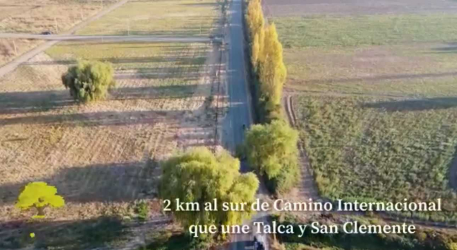 -13
