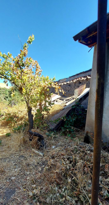 venta-terreno-urbano-con-casa-antigua-centro--8
