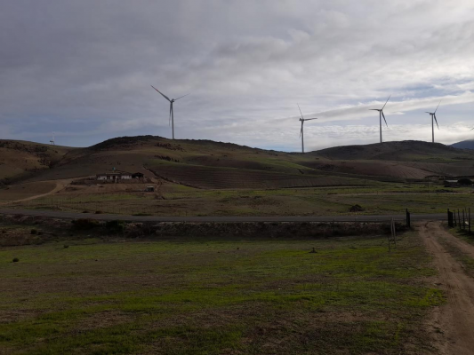 exclusiva-parcela-talinay-naturaleza-y-tranquil-7