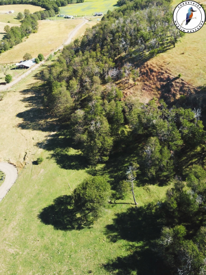 se-vende-terreno-camino-lago-atravesado-9
