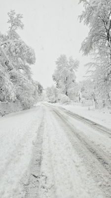 -7