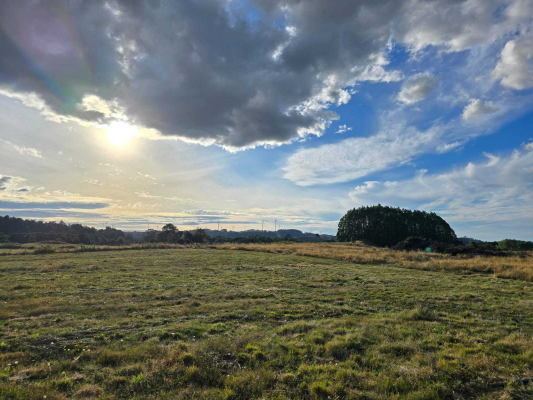 espectaculares-parcelas-en-venta-llanquihue-(89-9