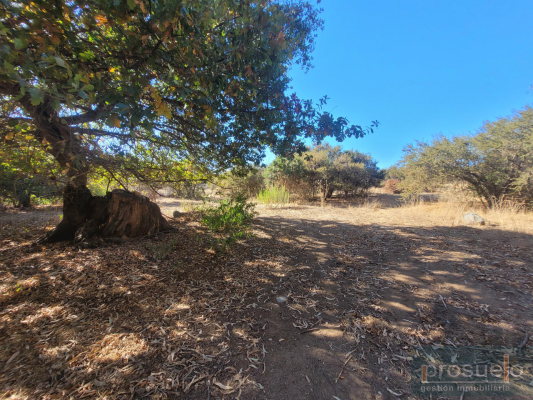 linda-parcela-5,000-mt2-en-loteo-privado-3