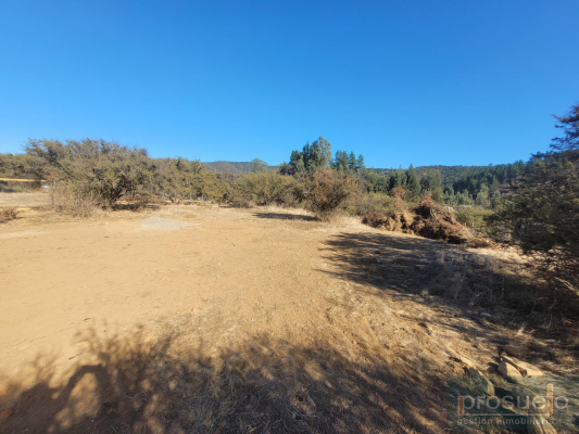 linda-parcela-5,000-mt2-en-loteo-privado-4