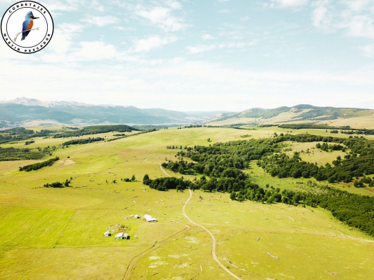 parcela-de-6ha-en-la-patagonia-5