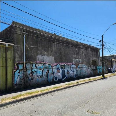 gran-terreno-para-inversion-urbana-(162262)-5