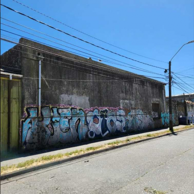 gran-terreno-para-inversion-urbana-(162262)-8