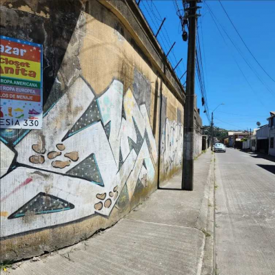 gran-terreno-para-inversion-urbana-(162262)-9