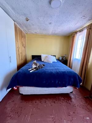 -13