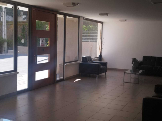 para-remodelar-(162435)-7