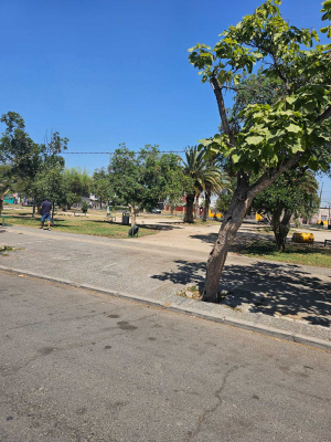 casa-en-venta-en-el-bosque-(162470)-3